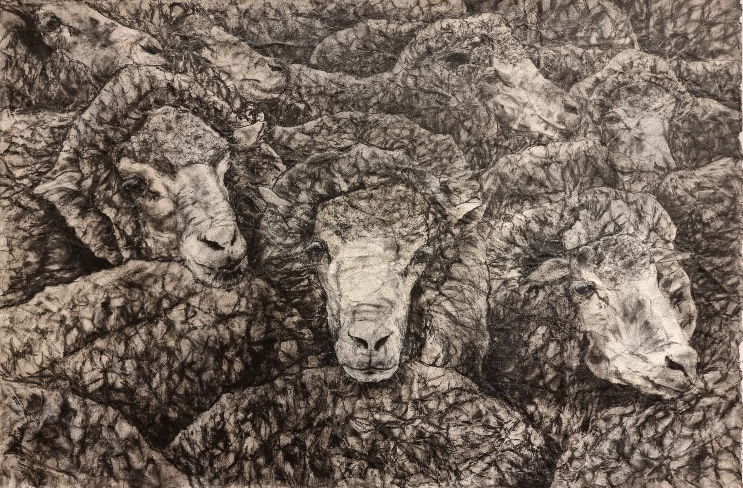 Ayla Young The Golden Fleece_Acquisitive